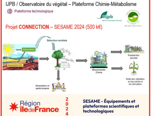 CONNEXION : AAP SESAME 2024
